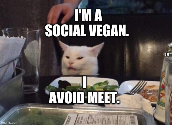 Salad cat | I AVOID MEET. I'M A SOCIAL VEGAN. J M | image tagged in salad cat | made w/ Imgflip meme maker