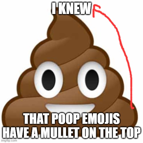 now we know the truth behind poops guys | I KNEW; THAT POOP EMOJIS HAVE A MULLET ON THE TOP | image tagged in poop emoji | made w/ Imgflip meme maker