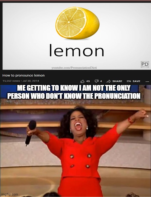 Oprah You Get A | ME GETTING TO KNOW I AM NOT THE ONLY PERSON WHO DON'T KNOW THE PRONUNCIATION | image tagged in memes,oprah you get a | made w/ Imgflip meme maker