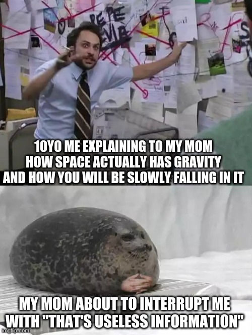 Man explaining to seal | 10YO ME EXPLAINING TO MY MOM HOW SPACE ACTUALLY HAS GRAVITY AND HOW YOU WILL BE SLOWLY FALLING IN IT; MY MOM ABOUT TO INTERRUPT ME WITH "THAT'S USELESS INFORMATION" | image tagged in man explaining to seal | made w/ Imgflip meme maker