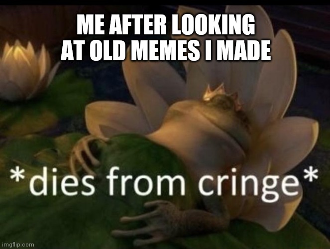 Dies from cringe | ME AFTER LOOKING AT OLD MEMES I MADE | image tagged in dies from cringe | made w/ Imgflip meme maker
