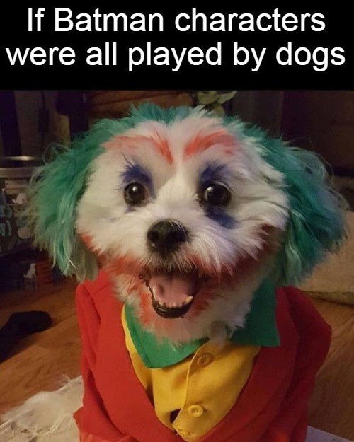 If Batman characters were all played by dogs | image tagged in meme,memes,the joker,batman,dog,dogs | made w/ Imgflip meme maker