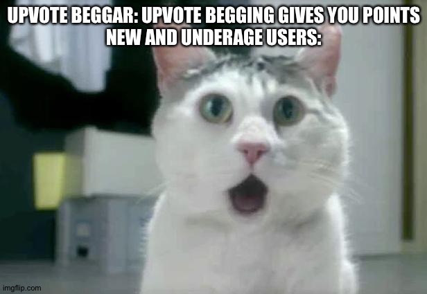 News flash - Downvotes gives you points too so don't upvote the beggars that say "upvoting gives you points" | UPVOTE BEGGAR: UPVOTE BEGGING GIVES YOU POINTS
NEW AND UNDERAGE USERS: | image tagged in memes,omg cat,funny,funny memes,imgflip,upvote begging | made w/ Imgflip meme maker