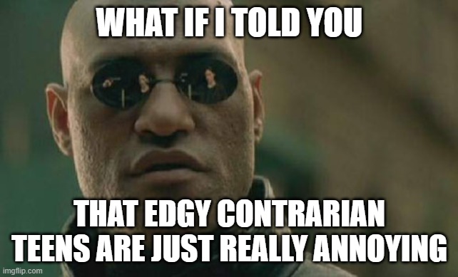 Matrix Morpheus Meme | WHAT IF I TOLD YOU; THAT EDGY CONTRARIAN TEENS ARE JUST REALLY ANNOYING | image tagged in memes,matrix morpheus | made w/ Imgflip meme maker