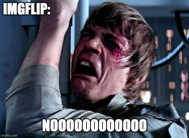 Nooo | IMGFLIP: NOOOOOOOOOOOO | image tagged in nooo | made w/ Imgflip meme maker