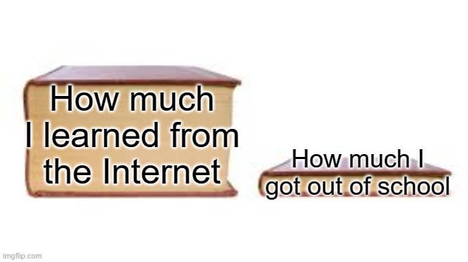 Big book small book | How much I learned from the Internet; How much I got out of school | image tagged in big book small book | made w/ Imgflip meme maker