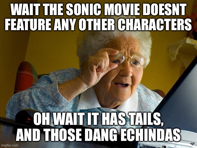 Grandma Finds The Internet Meme | WAIT THE SONIC MOVIE DOESNT FEATURE ANY OTHER CHARACTERS; OH WAIT IT HAS TAILS, AND THOSE DANG ECHINDAS | image tagged in memes,grandma finds the internet | made w/ Imgflip meme maker