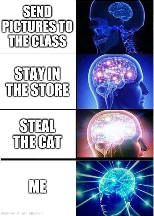 The random meme maker from ai is good | SEND PICTURES TO THE CLASS; STAY IN THE STORE; STEAL THE CAT; ME | image tagged in memes,expanding brain | made w/ Imgflip meme maker