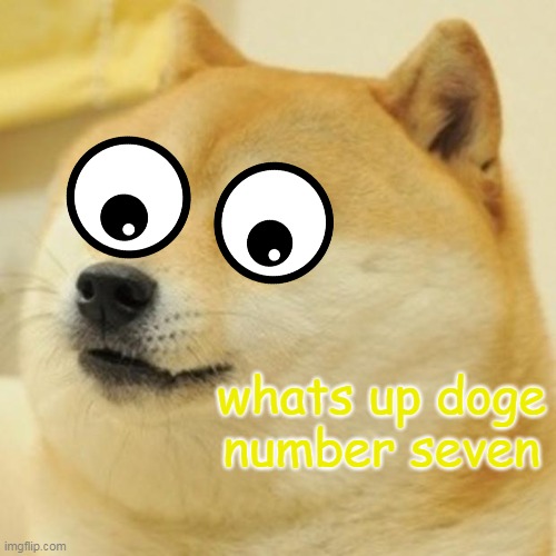 Doge #8 | whats up doge number seven | image tagged in memes,doge | made w/ Imgflip meme maker