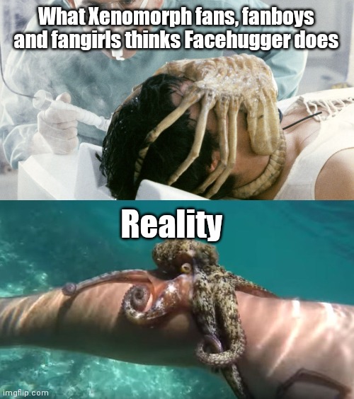  What Xenomorph fans, fanboys and fangirls thinks Facehugger does; Reality | image tagged in xenomorph,facehugger | made w/ Imgflip meme maker