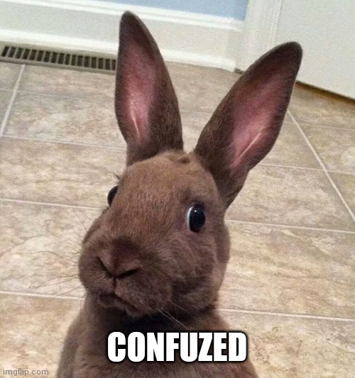 confuzed bunny | CONFUZED | image tagged in confuzed bunny | made w/ Imgflip meme maker
