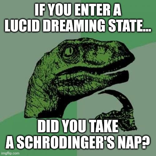 Both sleeping and awake... | IF YOU ENTER A LUCID DREAMING STATE... DID YOU TAKE A SCHRODINGER'S NAP? | image tagged in memes,philosoraptor,schrodinger,physics | made w/ Imgflip meme maker