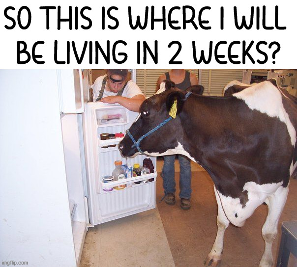 SO THIS IS WHERE I WILL 
BE LIVING IN 2 WEEKS? | image tagged in dark humor | made w/ Imgflip meme maker