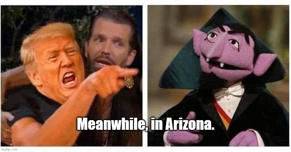 Meanwhile, in Arizona | Meanwhile, in Arizona. | image tagged in arizona,trump,the count | made w/ Imgflip meme maker