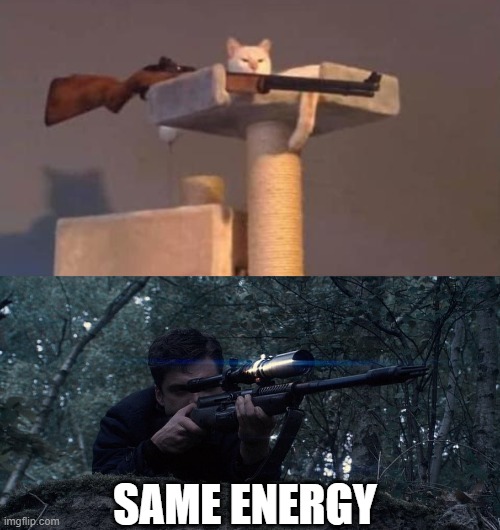 lets be honest... | SAME ENERGY | image tagged in cat,sniper,funny,marvel,memes,mcu | made w/ Imgflip meme maker