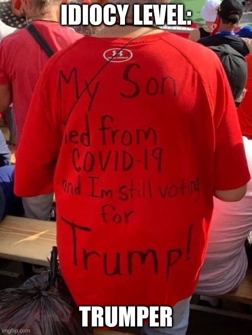 As seen at the Georgia Rally | IDIOCY LEVEL:; TRUMPER | made w/ Imgflip meme maker