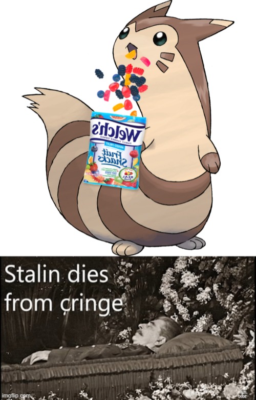 image tagged in furret transparent 1,stalin dies from cringe | made w/ Imgflip meme maker