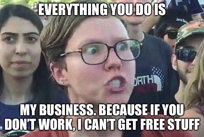 Triggered Liberal | EVERYTHING YOU DO IS MY BUSINESS. BECAUSE IF YOU DON’T WORK, I CAN’T GET FREE STUFF | image tagged in triggered liberal | made w/ Imgflip meme maker