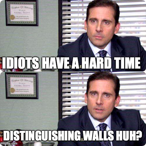 Michael Scott - I'm ready to get hurt again | IDIOTS HAVE A HARD TIME DISTINGUISHING WALLS HUH? | image tagged in michael scott - i'm ready to get hurt again | made w/ Imgflip meme maker