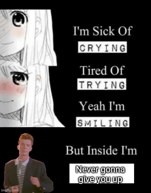 Hehe | Never gonna give you up | image tagged in i'm sick of crying,never gonna give you up | made w/ Imgflip meme maker