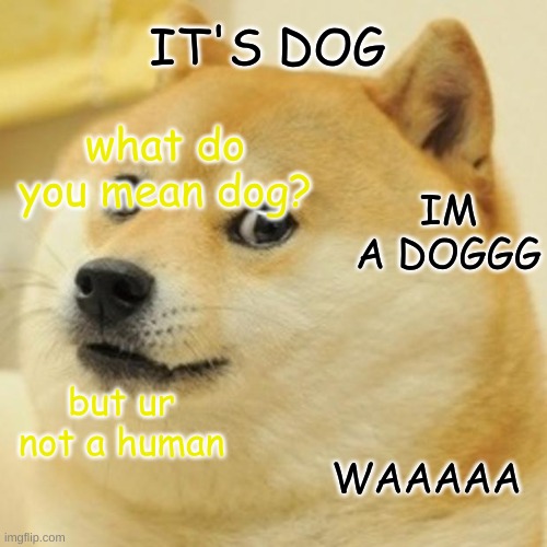 Doge Meme | IT'S DOG; IM A DOGGG; what do you mean dog? but ur not a human; WAAAAA | image tagged in memes,doge | made w/ Imgflip meme maker