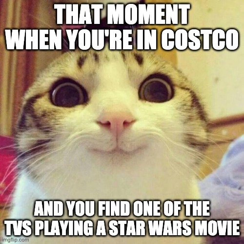 Star Wars | THAT MOMENT WHEN YOU'RE IN COSTCO; AND YOU FIND ONE OF THE TVS PLAYING A STAR WARS MOVIE | image tagged in memes,smiling cat | made w/ Imgflip meme maker