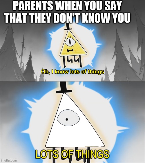 "oh I know you better then yourself..." | PARENTS WHEN YOU SAY THAT THEY DON'T KNOW YOU | image tagged in lots of things | made w/ Imgflip meme maker