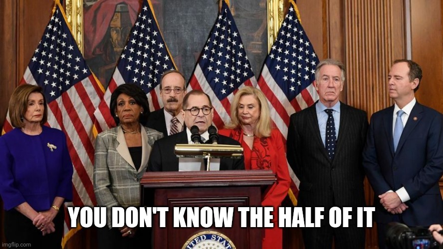 House Democrats | YOU DON'T KNOW THE HALF OF IT | image tagged in house democrats | made w/ Imgflip meme maker