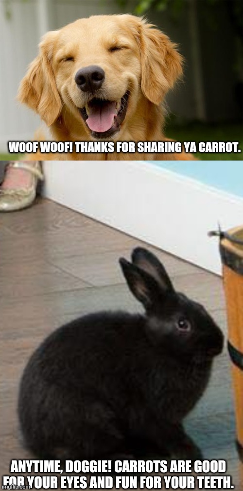 WOOF WOOF! THANKS FOR SHARING YA CARROT. ANYTIME, DOGGIE! CARROTS ARE GOOD FOR YOUR EYES AND FUN FOR YOUR TEETH. | image tagged in happy dog,kids afraid of rabbit | made w/ Imgflip meme maker