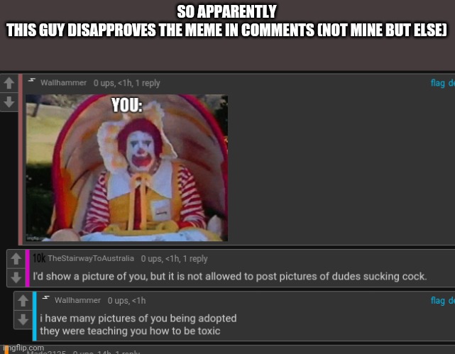 SO APPARENTLY
THIS GUY DISAPPROVES THE MEME IN COMMENTS (NOT MINE BUT ELSE) | made w/ Imgflip meme maker