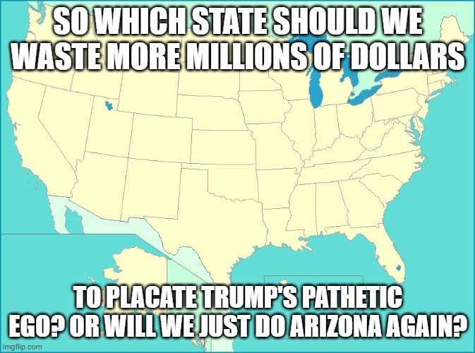usa map |  SO WHICH STATE SHOULD WE WASTE MORE MILLIONS OF DOLLARS; TO PLACATE TRUMP'S PATHETIC EGO? OR WILL WE JUST DO ARIZONA AGAIN? | image tagged in usa map | made w/ Imgflip meme maker