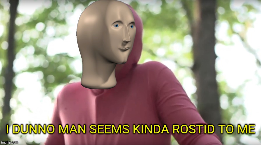 seems kinda gay template | I DUNNO MAN SEEMS KINDA ROSTID TO ME | image tagged in seems kinda gay template | made w/ Imgflip meme maker