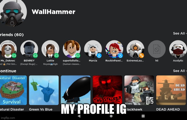 MY PROFILE IG | made w/ Imgflip meme maker