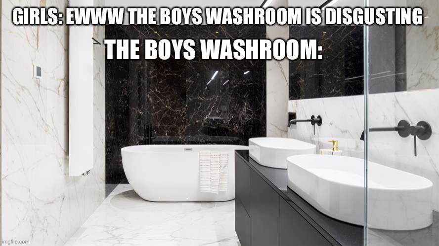 Lol | THE BOYS WASHROOM:; GIRLS: EWWW THE BOYS WASHROOM IS DISGUSTING | image tagged in memes | made w/ Imgflip meme maker
