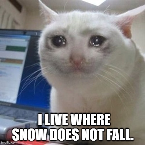 I LIVE WHERE SNOW DOES NOT FALL. | made w/ Imgflip meme maker