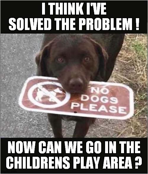 Dog Logic ! | I THINK I'VE SOLVED THE PROBLEM ! NOW CAN WE GO IN THE
CHILDRENS PLAY AREA ? | image tagged in dogs,signs,logic | made w/ Imgflip meme maker