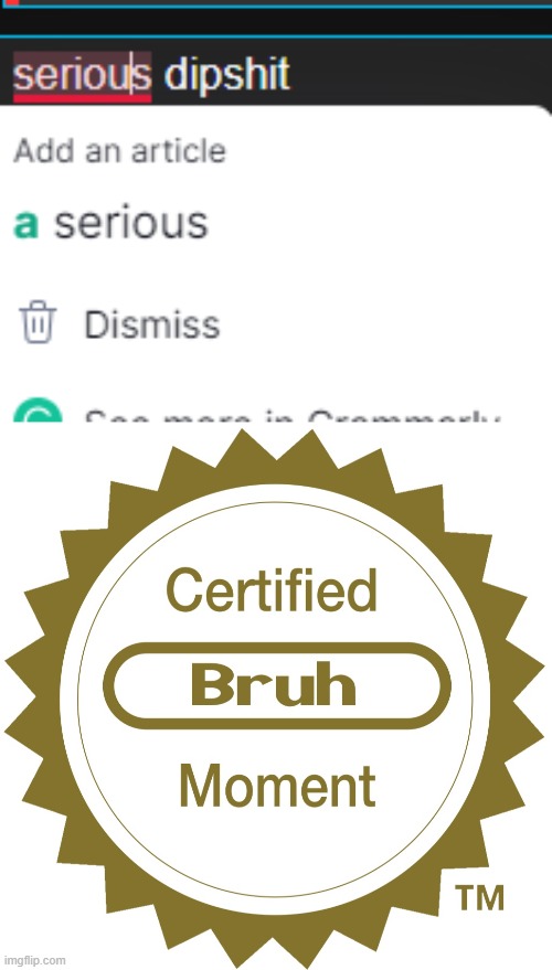 image tagged in certified bruh moment | made w/ Imgflip meme maker