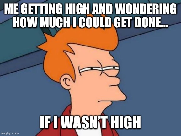 Smoke Weed Everyday | ME GETTING HIGH AND WONDERING HOW MUCH I COULD GET DONE…; IF I WASN’T HIGH | image tagged in memes,futurama fry,weed | made w/ Imgflip meme maker