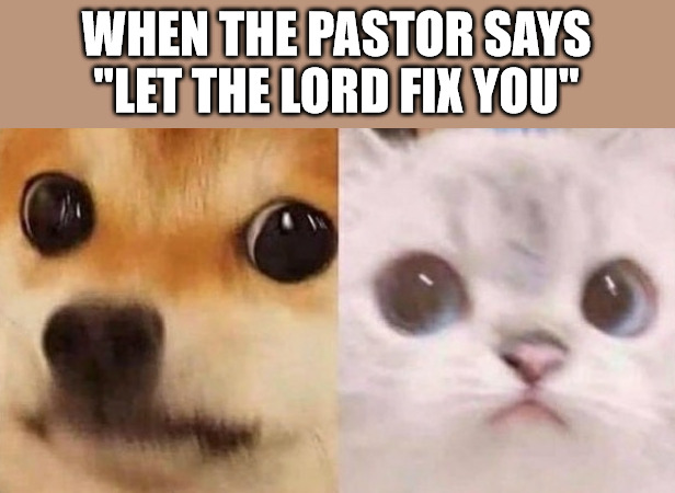 Poor choice of words | WHEN THE PASTOR SAYS "LET THE LORD FIX YOU" | image tagged in scared cat and scared dog,dank,christian,memes,r/dankchristianmemes | made w/ Imgflip meme maker