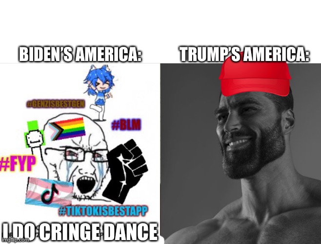Biden’s America vs trump’s America | TRUMP’S AMERICA:; BIDEN’S AMERICA:; I DO CRINGE DANCE | image tagged in average fan vs average enjoyer | made w/ Imgflip meme maker