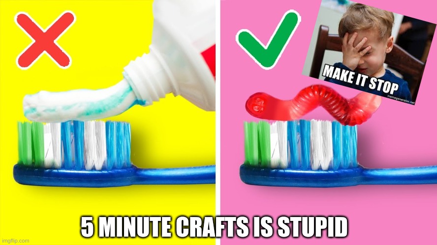 5 MINUTE CRAFTS IS STUPID | made w/ Imgflip meme maker