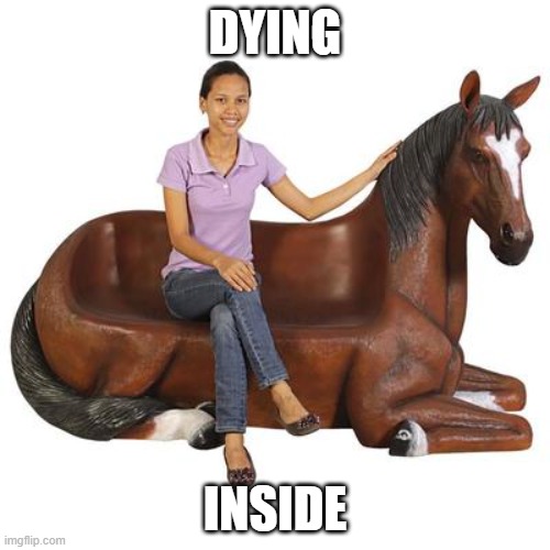 Horse Couch | DYING; INSIDE | image tagged in horse,couch | made w/ Imgflip meme maker