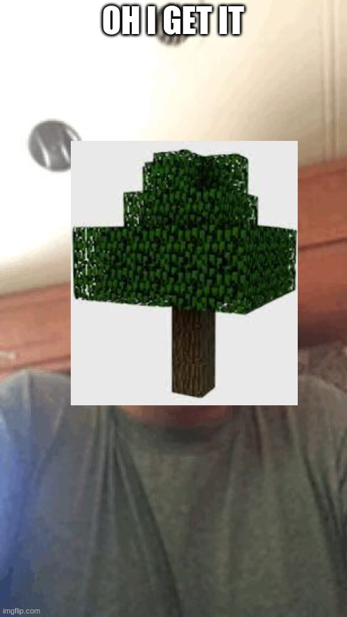 Oh I get it | OH I GET IT | image tagged in oh i get it | made w/ Imgflip meme maker