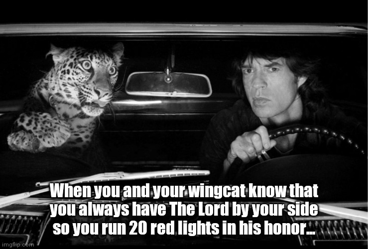 Mick the cat & The Lord | When you and your wingcat know that you always have The Lord by your side so you run 20 red lights in his honor... | image tagged in funny | made w/ Imgflip meme maker