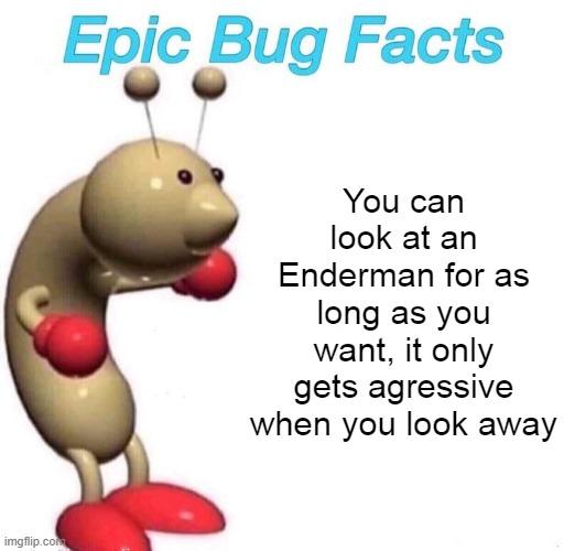 Epic Bug Facts | You can look at an Enderman for as long as you want, it only gets agressive when you look away | image tagged in epic bug facts | made w/ Imgflip meme maker