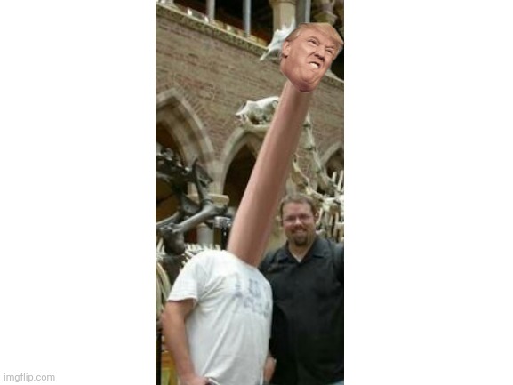 Ten comments containing nothing but a ramen emoji and this goes to politics | image tagged in blank white template | made w/ Imgflip meme maker