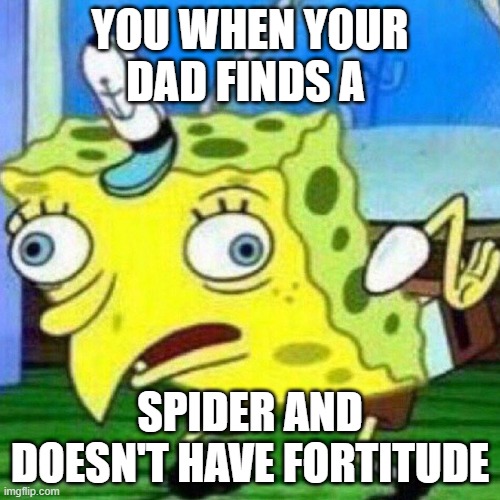 triggerpaul | YOU WHEN Y0UR DAD FINDS A; SPIDER AND DOESN'T HAVE FORTITUDE | image tagged in triggerpaul | made w/ Imgflip meme maker