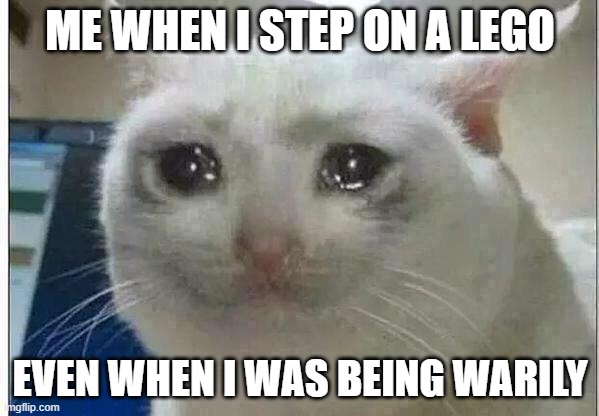 crying cat | ME WHEN I STEP ON A LEGO; EVEN WHEN I WAS BEING WARILY | image tagged in crying cat | made w/ Imgflip meme maker