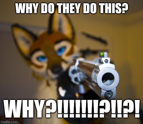 Furry with gun | WHY DO THEY DO THIS? WHY?!!!!!!!?!!?! | image tagged in furry with gun | made w/ Imgflip meme maker