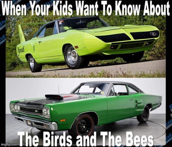 plymouth superbird and dodge-coronet super bee | image tagged in car memes | made w/ Imgflip meme maker